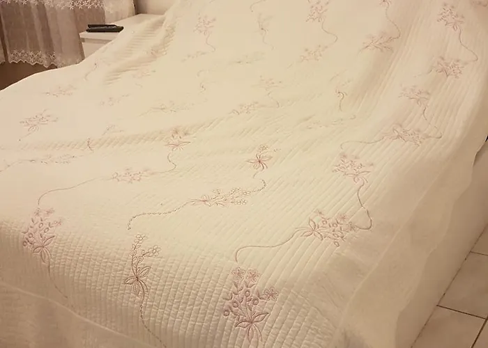 N 2 Accommodatie bij particulieren Schiltigheim